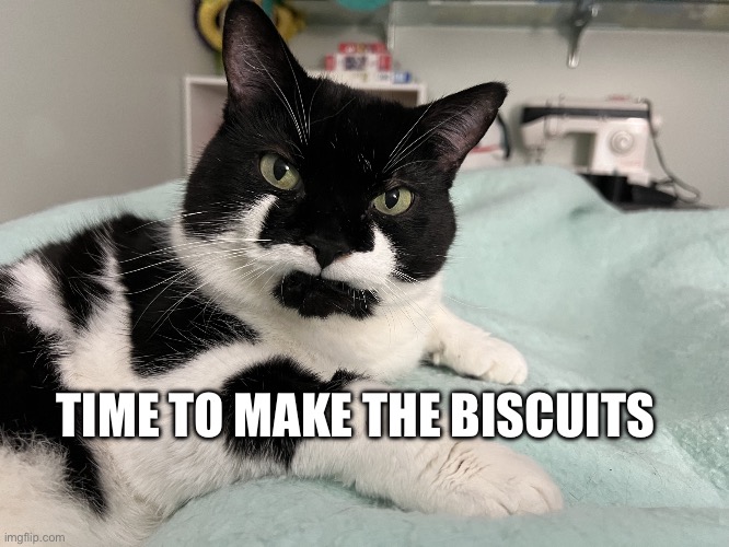 Chonk | TIME TO MAKE THE BISCUITS | image tagged in chonk | made w/ Imgflip meme maker