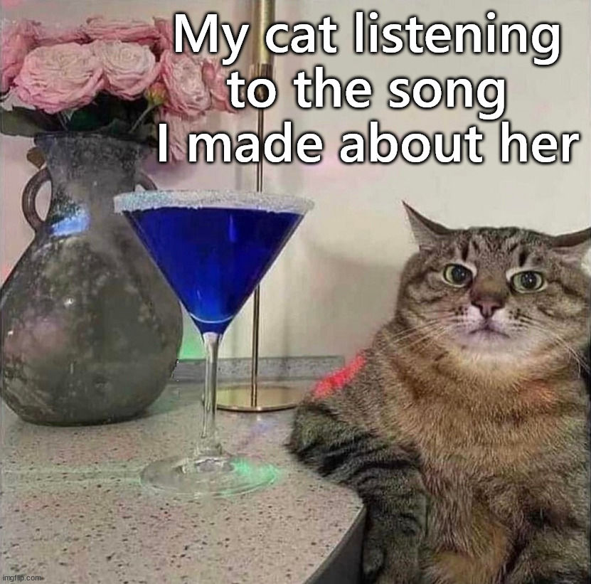 I am on the 20th verse | My cat listening to the song I made about her | image tagged in cats | made w/ Imgflip meme maker