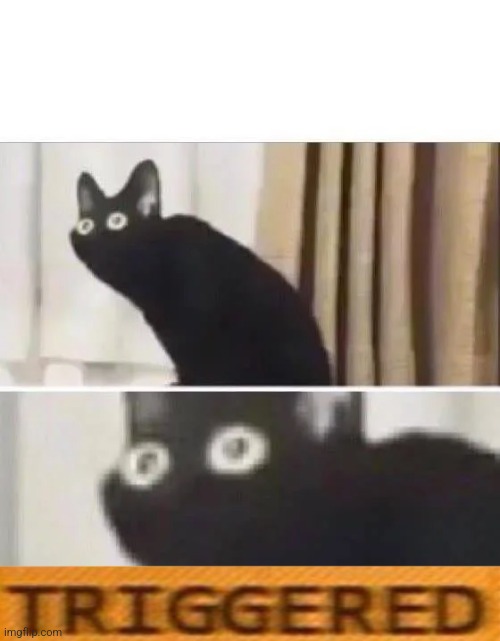 Oh No Black Cat | image tagged in oh no black cat | made w/ Imgflip meme maker