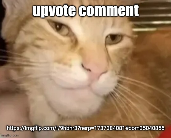 cat mewing | upvote comment; https://imgflip.com/i/9hbhr3?nerp=1737384081#com35040856 | image tagged in cat mewing | made w/ Imgflip meme maker