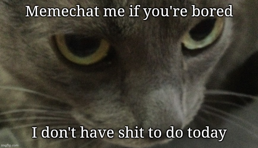 Sweetie | Memechat me if you're bored; I don't have shit to do today | image tagged in sweetie | made w/ Imgflip meme maker