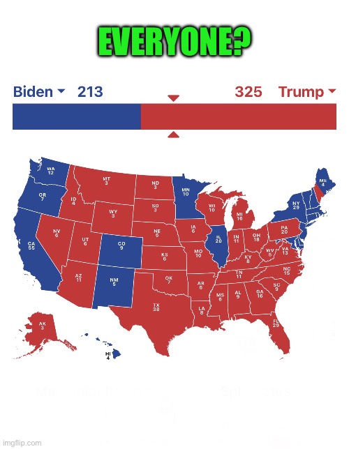 Real (Legal) results of the 2020 Election | EVERYONE? | image tagged in real legal results of the 2020 election | made w/ Imgflip meme maker