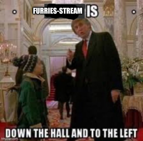 Fun is down the hall and to the left | FURRIES-STREAM | image tagged in fun is down the hall and to the left | made w/ Imgflip meme maker