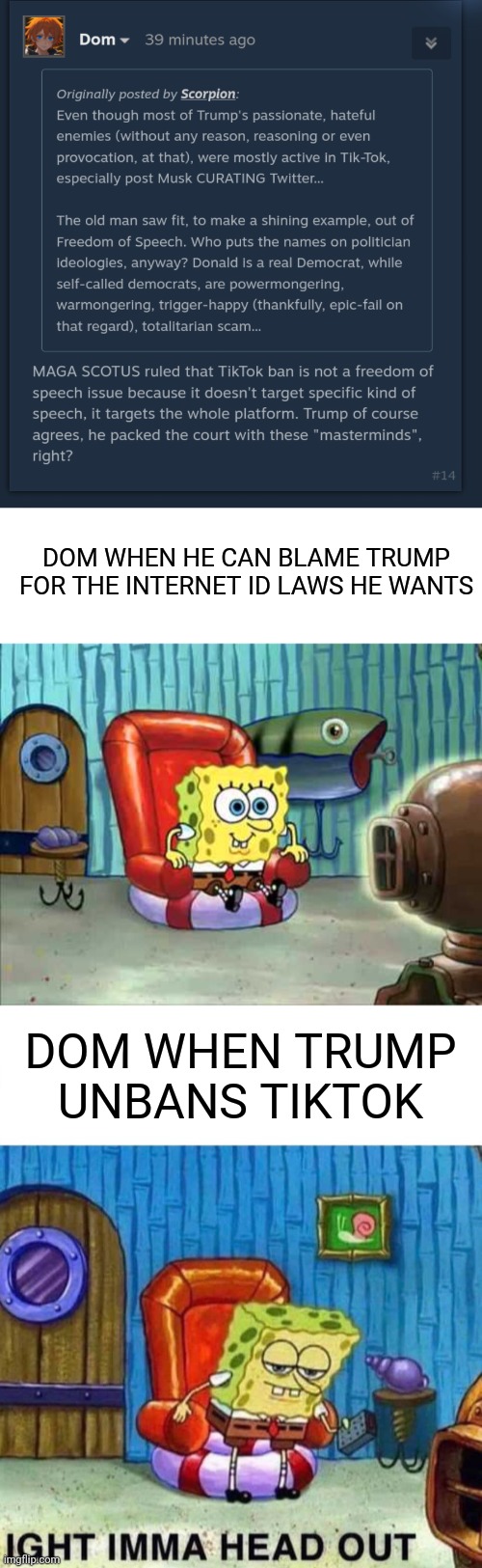 DOM WHEN HE CAN BLAME TRUMP FOR THE INTERNET ID LAWS HE WANTS; DOM WHEN TRUMP UNBANS TIKTOK | image tagged in blank white template,spongebob hype tv,memes,spongebob ight imma head out | made w/ Imgflip meme maker