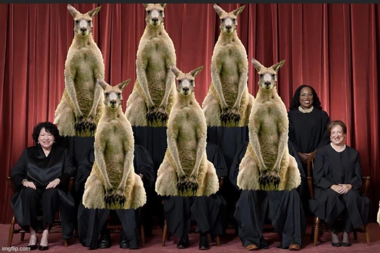 The Trump Kangaroo Supreme Court, no precedents, just politics | image tagged in the trump kangaroo supreme court no precedents just politics | made w/ Imgflip meme maker