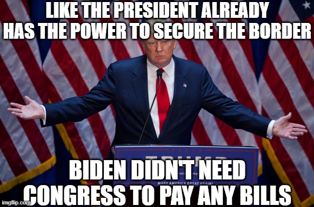 Donald Trump | LIKE THE PRESIDENT ALREADY HAS THE POWER TO SECURE THE BORDER BIDEN DIDN'T NEED CONGRESS TO PAY ANY BILLS | image tagged in donald trump | made w/ Imgflip meme maker