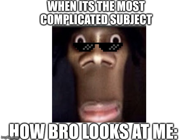 HEHE | WHEN ITS THE MOST COMPLICATED SUBJECT; HOW BRO LOOKS AT ME: | image tagged in hehehe,school,funny memes | made w/ Imgflip meme maker