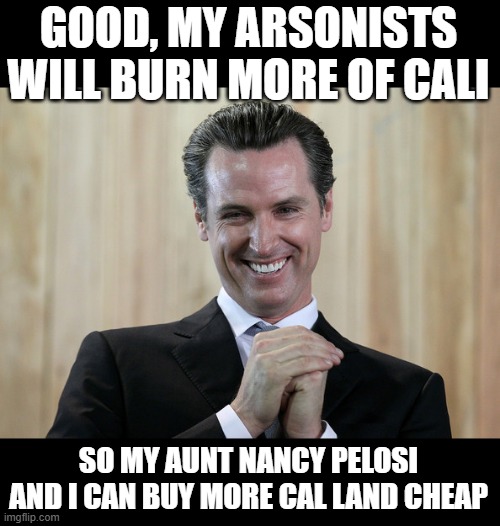 Scheming Gavin Newsom  | GOOD, MY ARSONISTS WILL BURN MORE OF CALI SO MY AUNT NANCY PELOSI AND I CAN BUY MORE CAL LAND CHEAP | image tagged in scheming gavin newsom | made w/ Imgflip meme maker