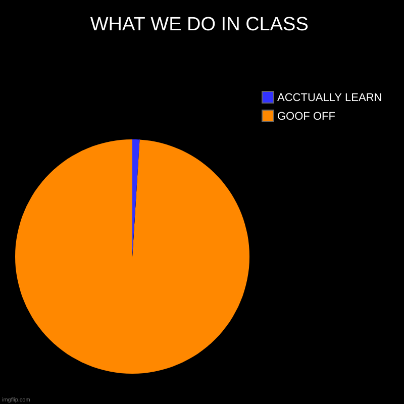 HEHE | WHAT WE DO IN CLASS | GOOF OFF, ACCTUALLY LEARN | image tagged in charts,pie charts,funny,school meme | made w/ Imgflip chart maker