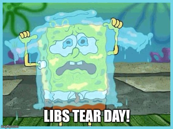 SpongeBob tears | LIBS TEAR DAY! | image tagged in spongebob tears | made w/ Imgflip meme maker