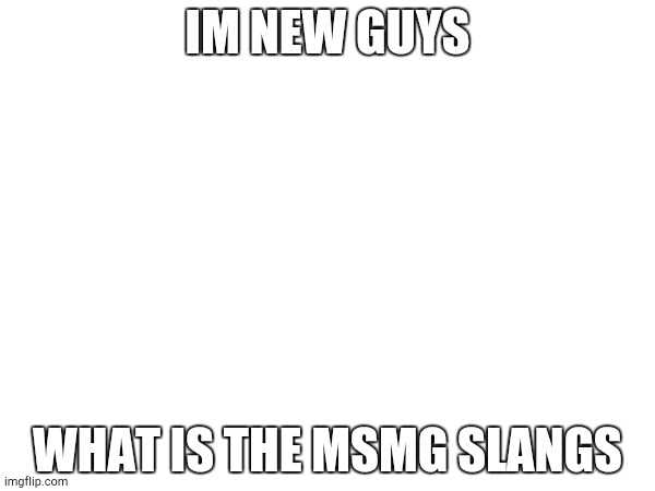 Help | IM NEW GUYS; WHAT IS THE MSMG SLANGS | image tagged in please help me | made w/ Imgflip meme maker