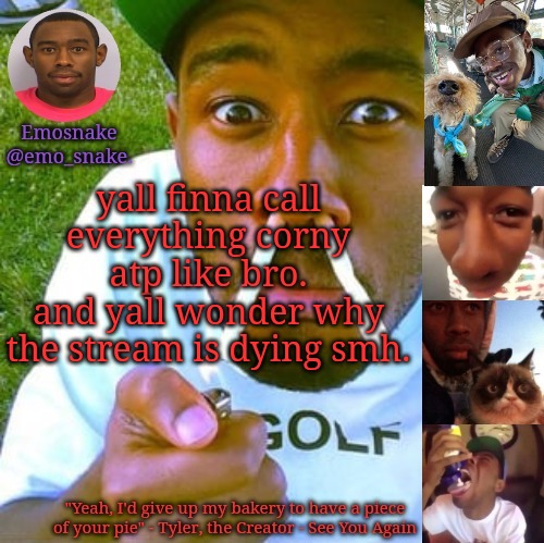 Emosnake's Tyler the Creator temp | yall finna call everything corny atp like bro.
and yall wonder why the stream is dying smh. | image tagged in emosnake's tyler the creator temp | made w/ Imgflip meme maker