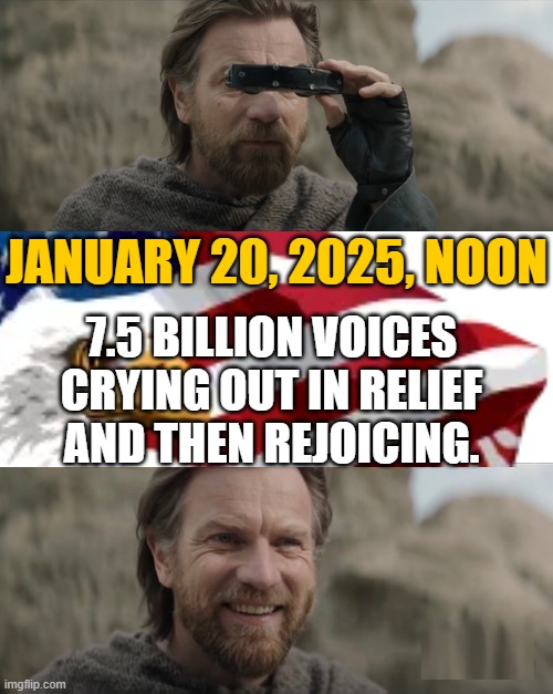 Happy Days are Here Again! The Skies Above Are Clear Again! | JANUARY 20, 2025, NOON; 7.5 BILLION VOICES CRYING OUT IN RELIEF AND THEN REJOICING. | image tagged in obi wan smiling | made w/ Imgflip meme maker