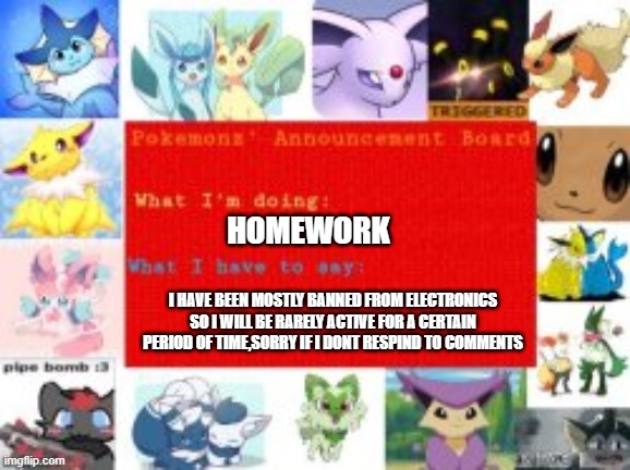 sowwy | HOMEWORK; I HAVE BEEN MOSTLY BANNED FROM ELECTRONICS SO I WILL BE RARELY ACTIVE FOR A CERTAIN PERIOD OF TIME,SORRY IF I DONT RESPIND TO COMMENTS | made w/ Imgflip meme maker