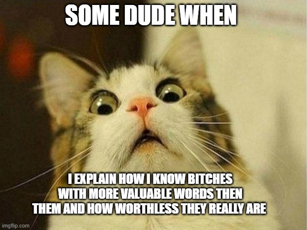 bitch | SOME DUDE WHEN; I EXPLAIN HOW I KNOW BITCHES WITH MORE VALUABLE WORDS THEN THEM AND HOW WORTHLESS THEY REALLY ARE | image tagged in memes,scared cat | made w/ Imgflip meme maker