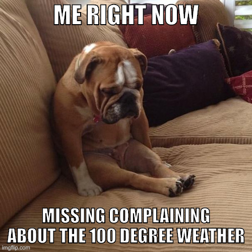 Wish you were here summer | ME RIGHT NOW; MISSING COMPLAINING ABOUT THE 100 DEGREE WEATHER | image tagged in bulldogsad,cold weather | made w/ Imgflip meme maker