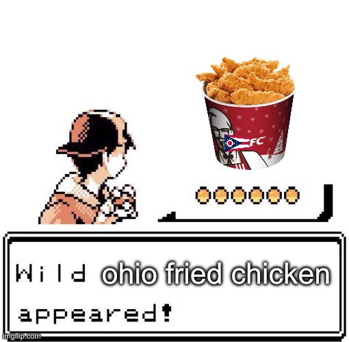 Blank Wild Pokemon Appears | ohio fried chicken | image tagged in blank wild pokemon appears | made w/ Imgflip meme maker