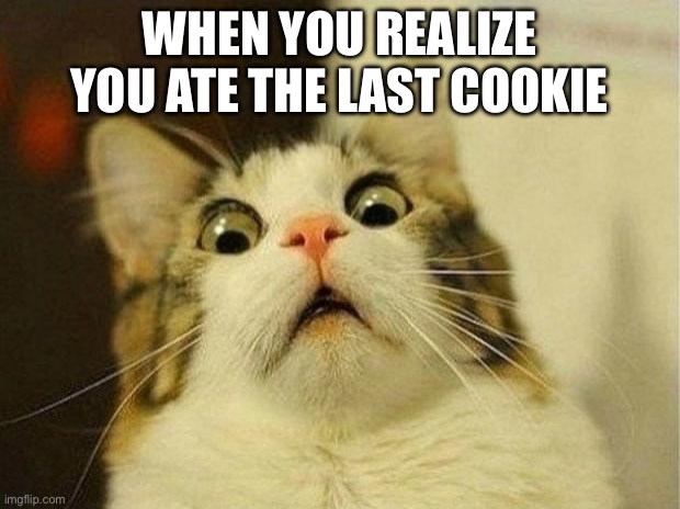 Not the cookie! | WHEN YOU REALIZE YOU ATE THE LAST COOKIE | image tagged in memes,scared cat | made w/ Imgflip meme maker