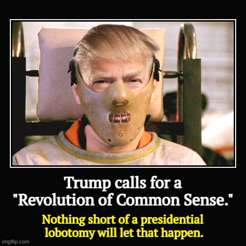 Trump calls for a "Revolution of Common Sense." | Nothing short of a presidential 
lobotomy will let that happen. | image tagged in funny,demotivationals,trump,common sense,disaster,incompetence | made w/ Imgflip demotivational maker