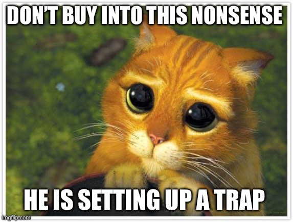 Shrek Cat Meme | DON’T BUY INTO THIS NONSENSE; HE IS SETTING UP A TRAP | image tagged in memes,shrek cat | made w/ Imgflip meme maker