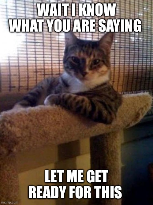 The Most Interesting Cat In The World Meme | WAIT I KNOW WHAT YOU ARE SAYING; LET ME GET READY FOR THIS | image tagged in memes,the most interesting cat in the world | made w/ Imgflip meme maker