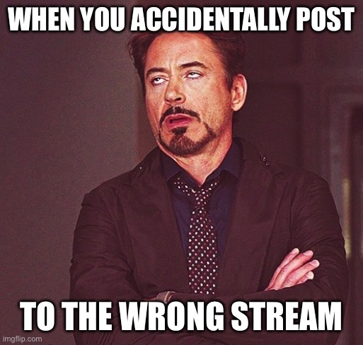 Robert Downey Jr rolling eyes | WHEN YOU ACCIDENTALLY POST; TO THE WRONG STREAM | image tagged in robert downey jr rolling eyes | made w/ Imgflip meme maker