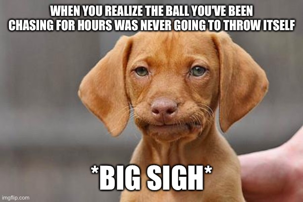 Dissapointed puppy | WHEN YOU REALIZE THE BALL YOU'VE BEEN CHASING FOR HOURS WAS NEVER GOING TO THROW ITSELF; *BIG SIGH* | image tagged in dissapointed puppy | made w/ Imgflip meme maker