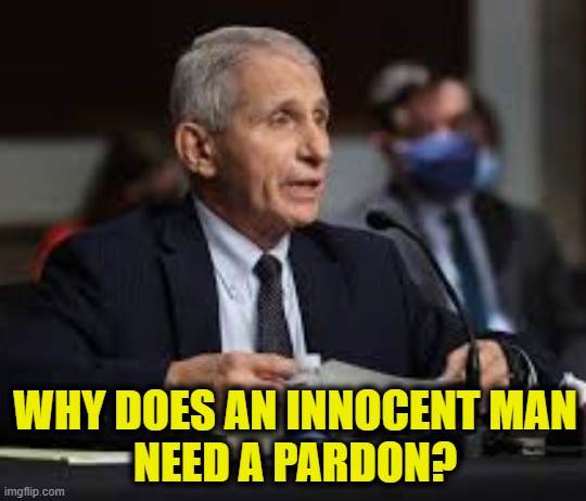 More Leftist Logic | WHY DOES AN INNOCENT MAN
NEED A PARDON? | image tagged in fauci | made w/ Imgflip meme maker