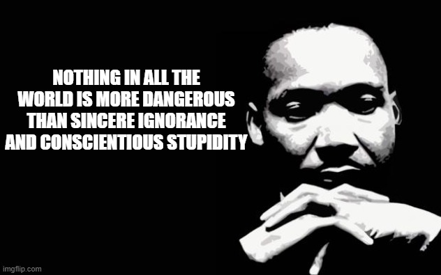 Happy MLK Day | NOTHING IN ALL THE WORLD IS MORE DANGEROUS THAN SINCERE IGNORANCE AND CONSCIENTIOUS STUPIDITY | image tagged in martin luther king jr | made w/ Imgflip meme maker