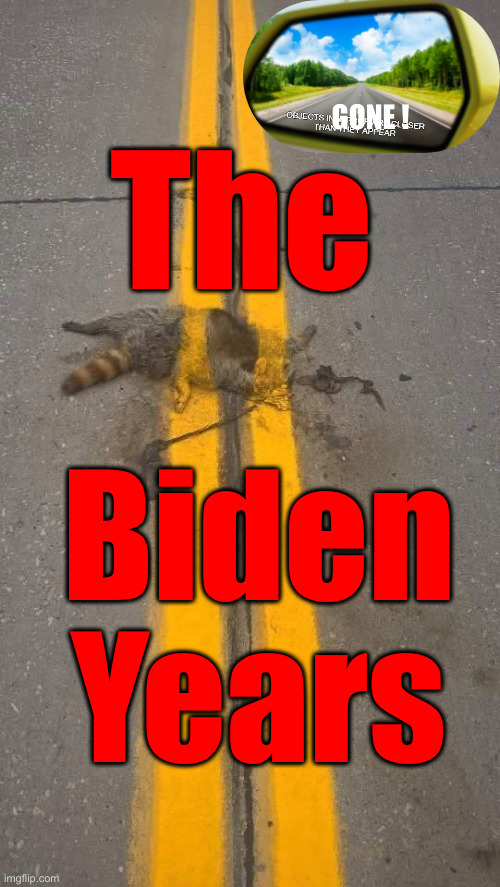 Did You Feel Something ? | GONE ! The; Biden Years | image tagged in roadkill line paint,political meme,politics,funny memes,funny,rearview mirror | made w/ Imgflip meme maker