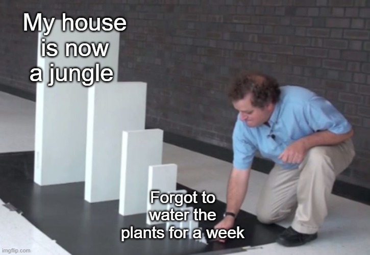 Whoopsie | My house is now a jungle; Forgot to water the plants for a week | image tagged in domino effect,memes,funny,plants,jungle,tag | made w/ Imgflip meme maker