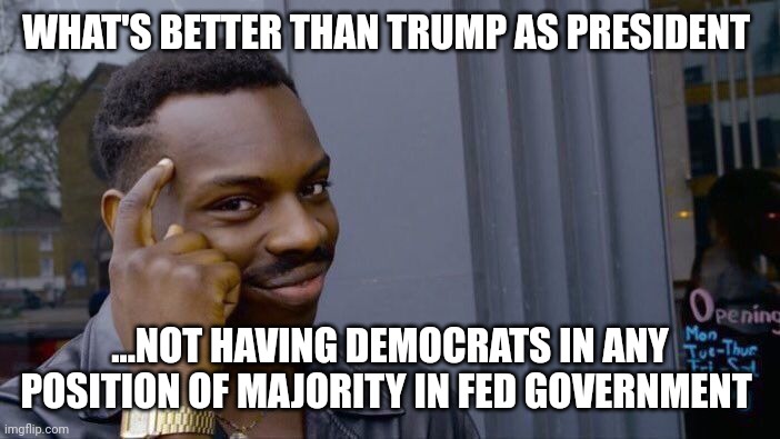 Welcome back 47 | WHAT'S BETTER THAN TRUMP AS PRESIDENT; ...NOT HAVING DEMOCRATS IN ANY POSITION OF MAJORITY IN FED GOVERNMENT | image tagged in memes,roll safe think about it | made w/ Imgflip meme maker