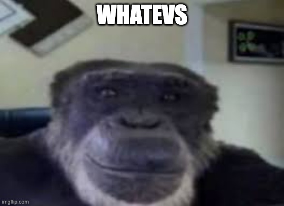 monke staring and smiling | WHATEVS | image tagged in monke staring and smiling | made w/ Imgflip meme maker