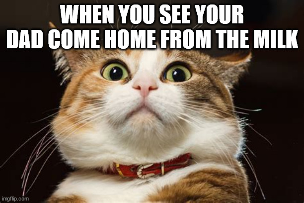 wow | WHEN YOU SEE YOUR DAD COME HOME FROM THE MILK | image tagged in oh wow are you actually reading these tags,flabberghasted | made w/ Imgflip meme maker