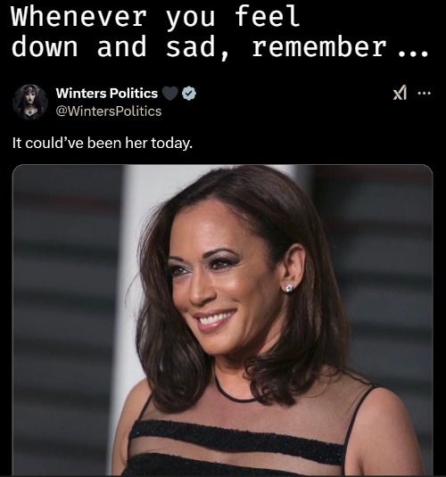 I don't think she expected this twist, but I gave her a copy | Whenever you feel down and sad, remember... | image tagged in kamala harris,donald trump,american politics | made w/ Imgflip meme maker