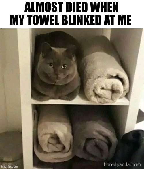 Almost Died When My Towel Blinked At Me | ALMOST DIED WHEN MY TOWEL BLINKED AT ME | image tagged in chris joines | made w/ Imgflip meme maker