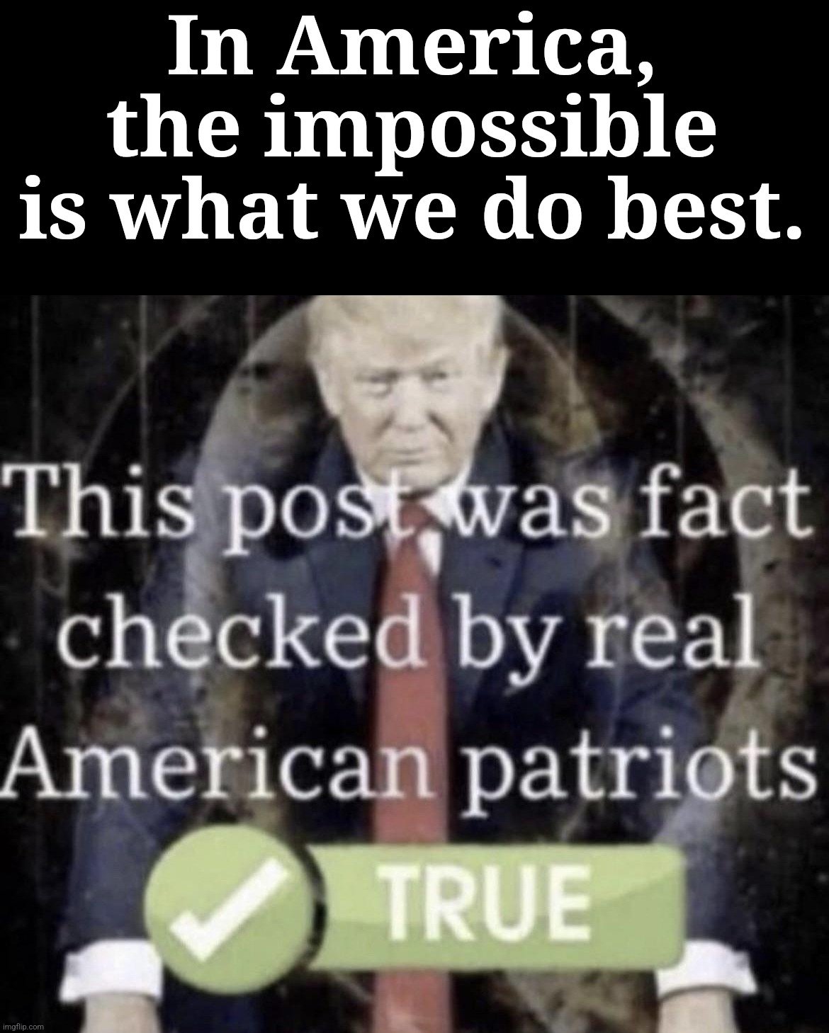 This post was fact checked by real American patriots | In America, the impossible is what we do best. | image tagged in this post was fact checked by real american patriots,trump inauguration | made w/ Imgflip meme maker