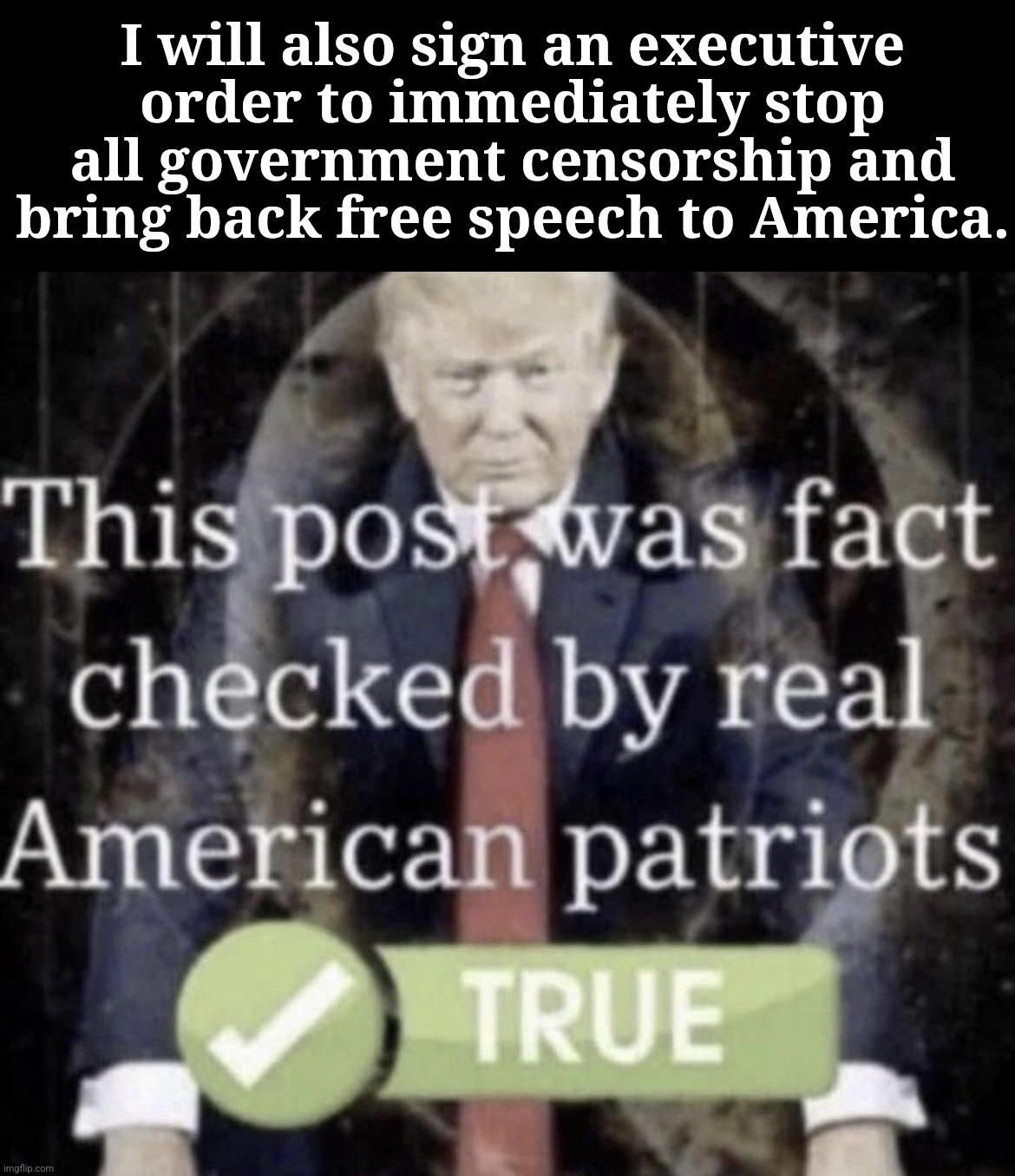 This post was fact checked by real American patriots | I will also sign an executive
order to immediately stop all government censorship and
bring back free speech to America. | image tagged in this post was fact checked by real american patriots,trump inauguration | made w/ Imgflip meme maker