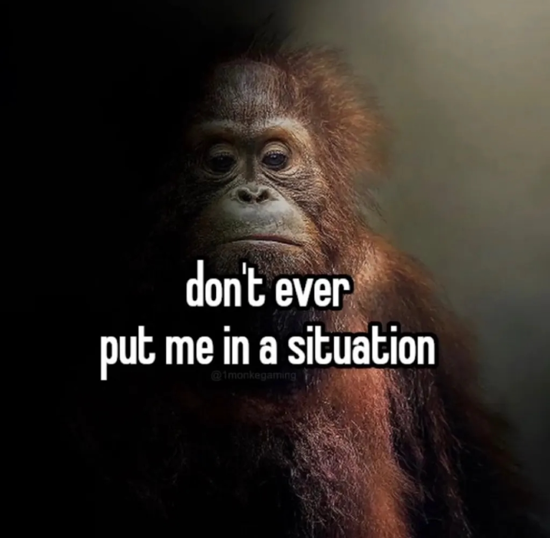 High Quality Don't ever put me in a situation Blank Meme Template