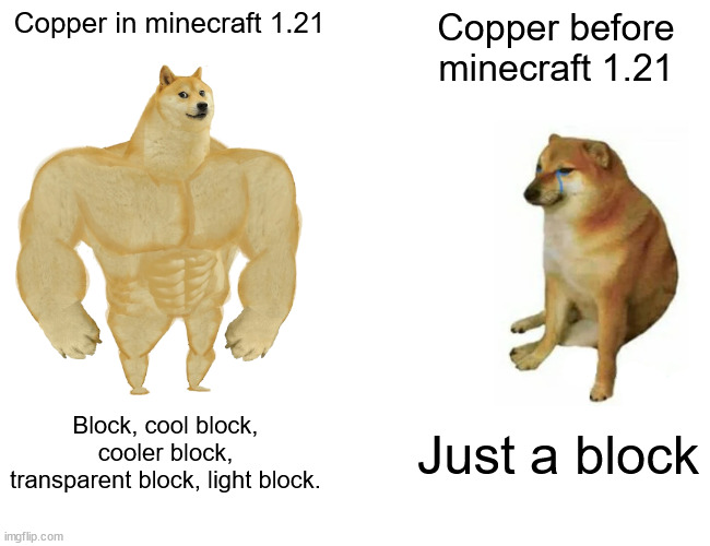 Buff Doge vs. Cheems Meme | Copper in minecraft 1.21; Copper before minecraft 1.21; Block, cool block, cooler block, transparent block, light block. Just a block | image tagged in memes,buff doge vs cheems | made w/ Imgflip meme maker