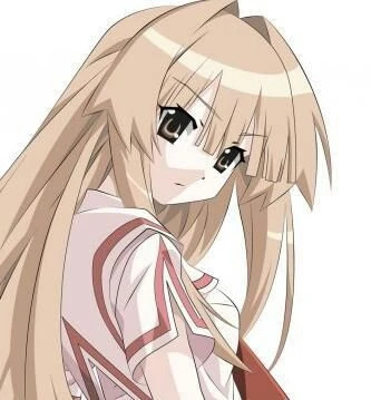 sun seto Blank Meme Template
