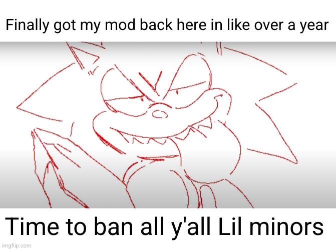 sike jk but shout-out to andrewfinlayson | Finally got my mod back here in like over a year; Time to ban all y'all Lil minors | image tagged in zesty,msmg,mods,moderation system,cool,sonic | made w/ Imgflip meme maker