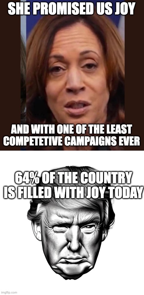 SHE PROMISED US JOY; AND WITH ONE OF THE LEAST COMPETETIVE CAMPAIGNS EVER; 64% OF THE COUNTRY IS FILLED WITH JOY TODAY | image tagged in trump,harris,joy | made w/ Imgflip meme maker