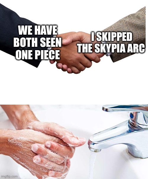 If you skipped that arc, I automatically lose all respect I have ever had for you | I SKIPPED THE SKYPIA ARC; WE HAVE BOTH SEEN ONE PIECE | image tagged in handwash | made w/ Imgflip meme maker