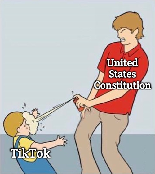 pepper spray | United States Constitution; TikTok | image tagged in pepper spray,slavic,tiktok | made w/ Imgflip meme maker