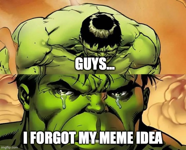 {} | GUYS... I FORGOT MY MEME IDEA | image tagged in crying hulk | made w/ Imgflip meme maker