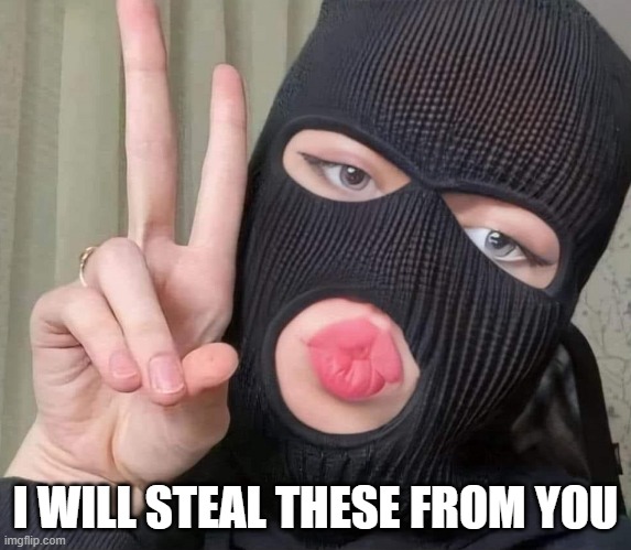 I WILL STEAL THESE FROM YOU | image tagged in woman thief | made w/ Imgflip meme maker