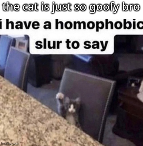 i have a homophobic slur to say | the cat is just so goofy bro | image tagged in i have a homophobic slur to say | made w/ Imgflip meme maker