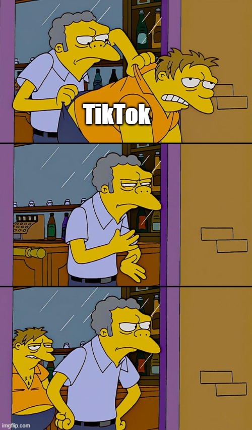 TikTok | TikTok | image tagged in moe throws barney,tictok,memes | made w/ Imgflip meme maker