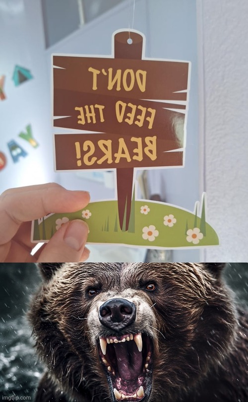 Backwards | image tagged in angry bear,bears,bear,you had one job,memes,backwards | made w/ Imgflip meme maker